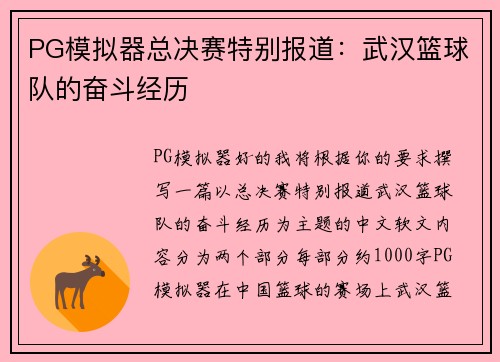 PG模拟器总决赛特别报道：武汉篮球队的奋斗经历